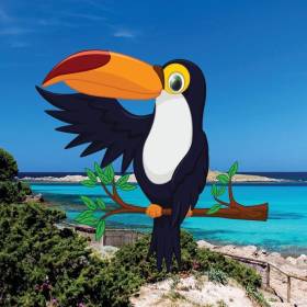 toucan diving & tours