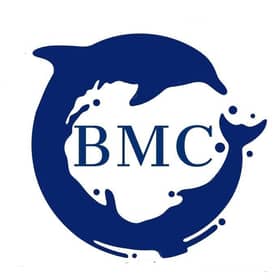 yacht group bmc