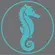 SEA HORSE SRL