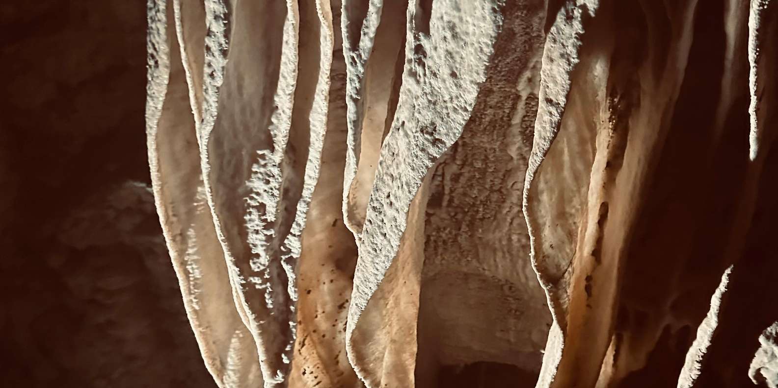 Guest photo from review