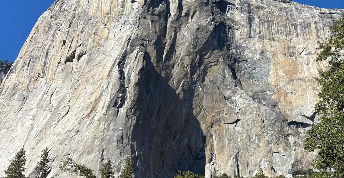 From San Francisco: Yosemite National Park Guided Day Trip