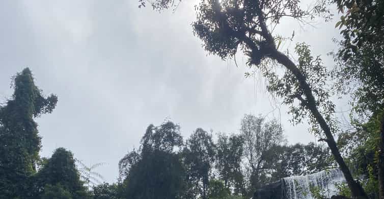 Colagem de mídia