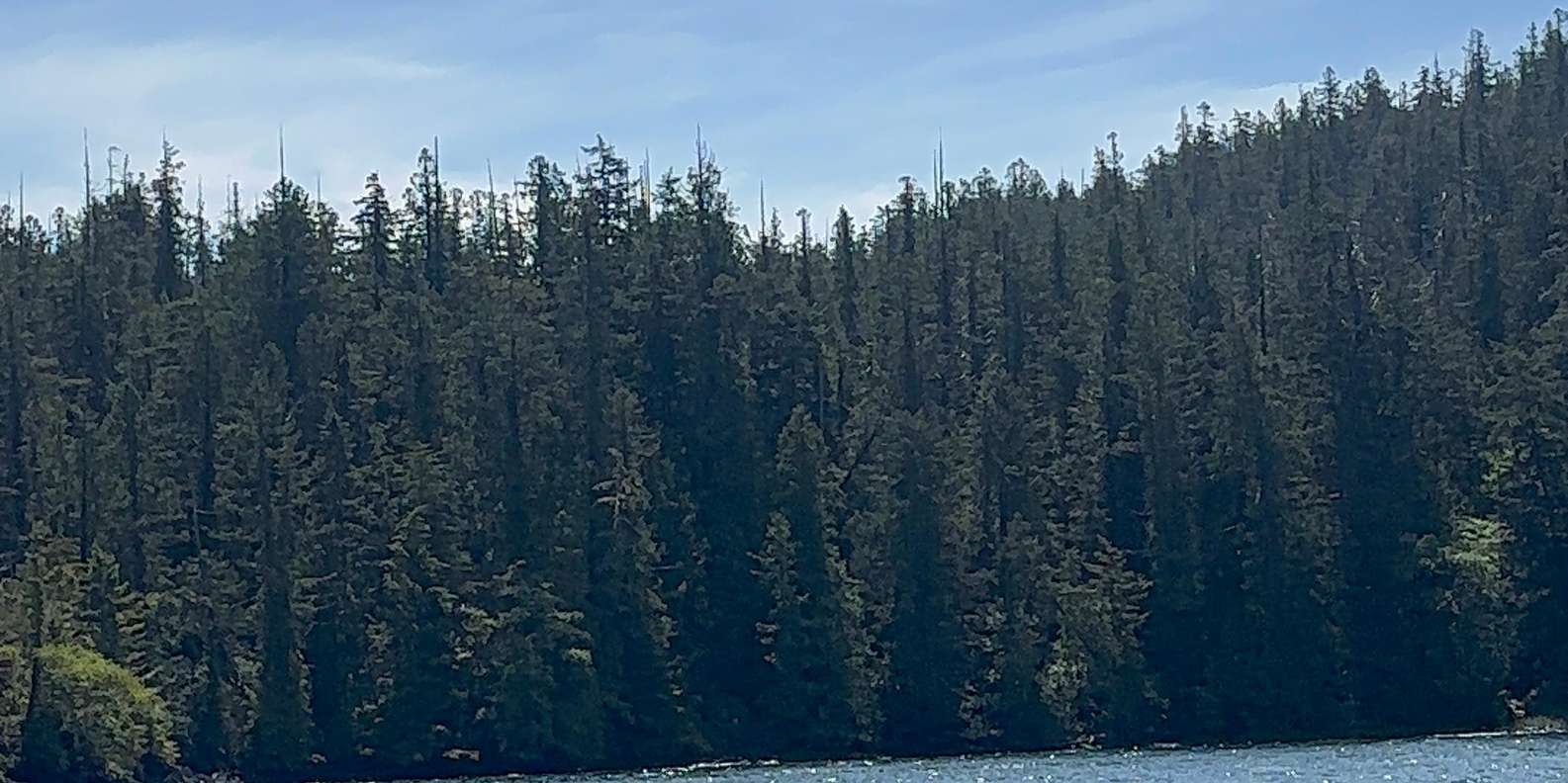 Guest photo from review