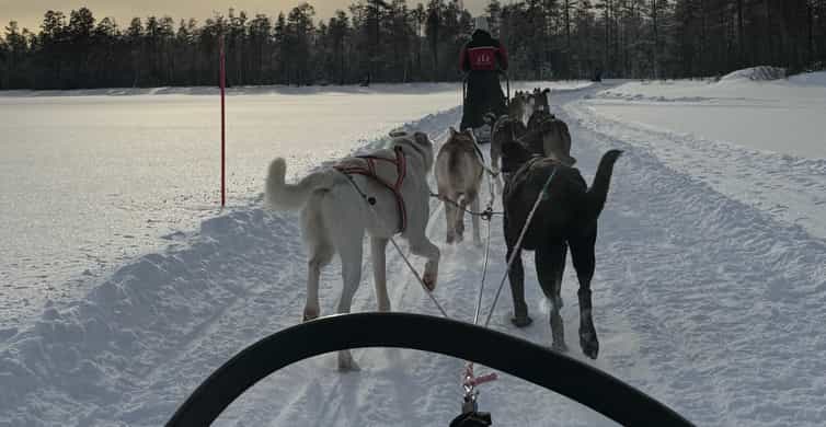 Медиаколлаж