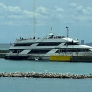 Chicago: Lake Michigan Gourmet Brunch/Lunch/Dinner Cruise