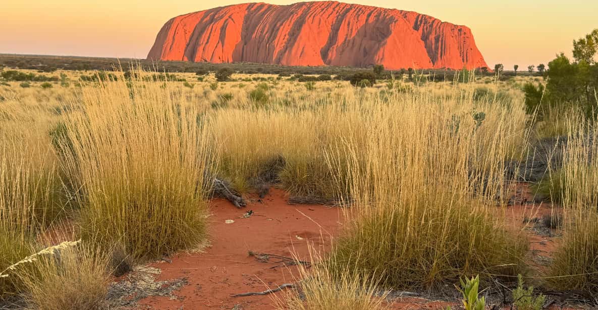 Uluru: Guided Walking Tour at Sunrise with Light Breakfast | GetYourGuide