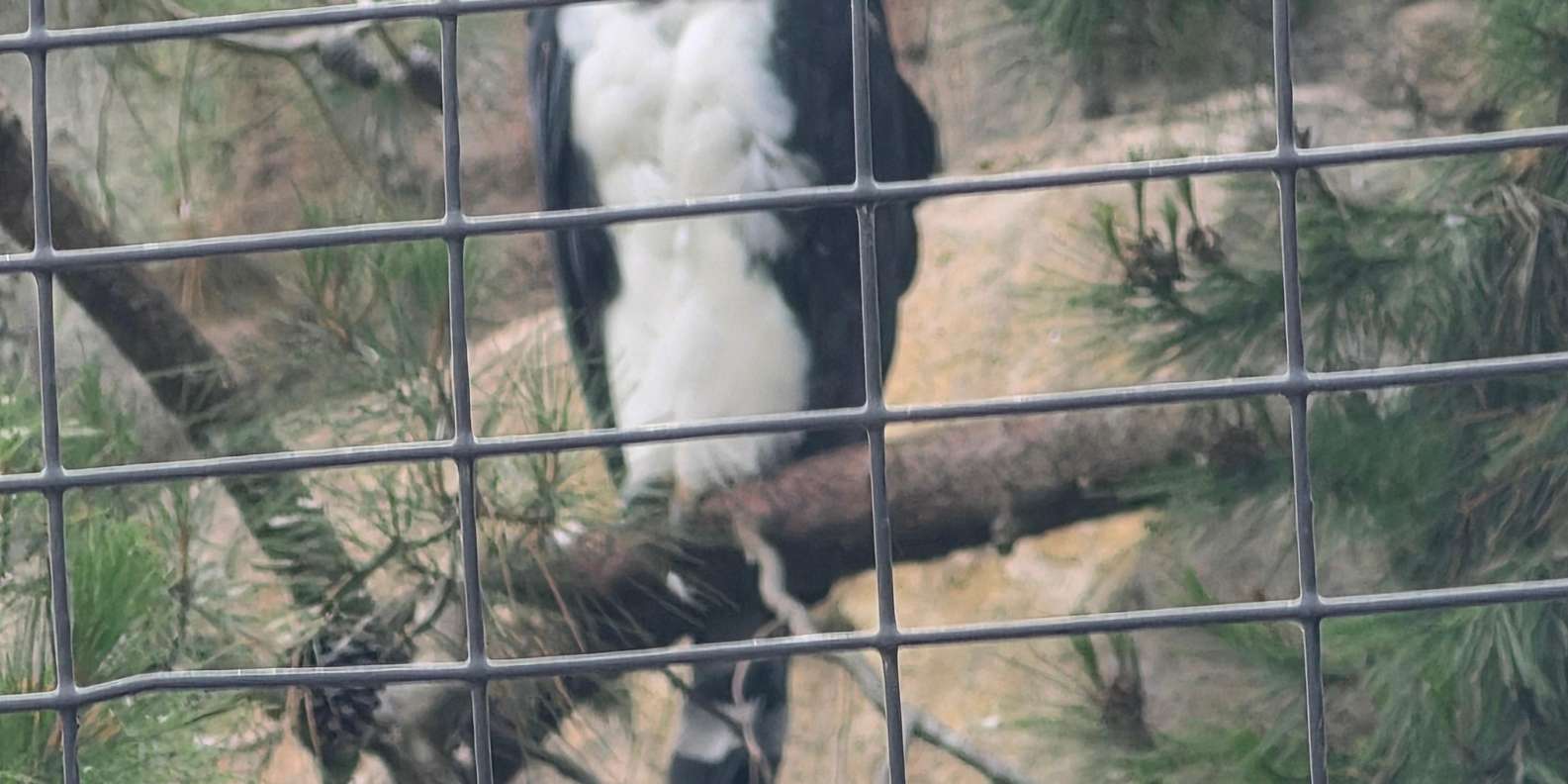 Guest photo from review