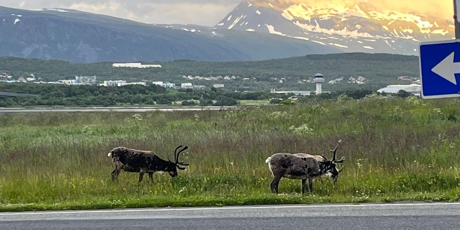 Guest photo from review