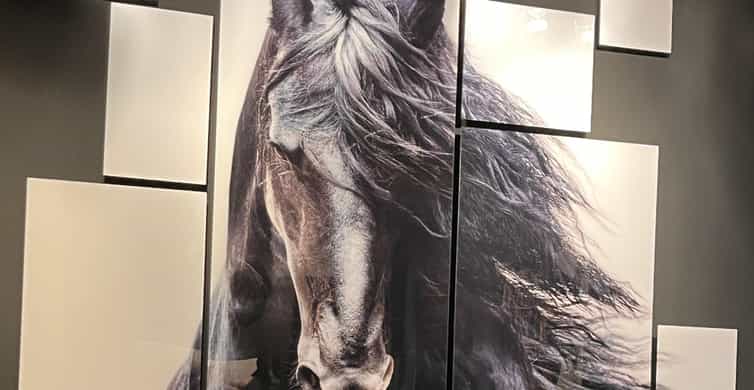 Galería de fotos para redes