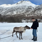 GetYourGuide listing photograph 5: Sámi Reindeer Sledding with Best Arctic with Best Arctic AS