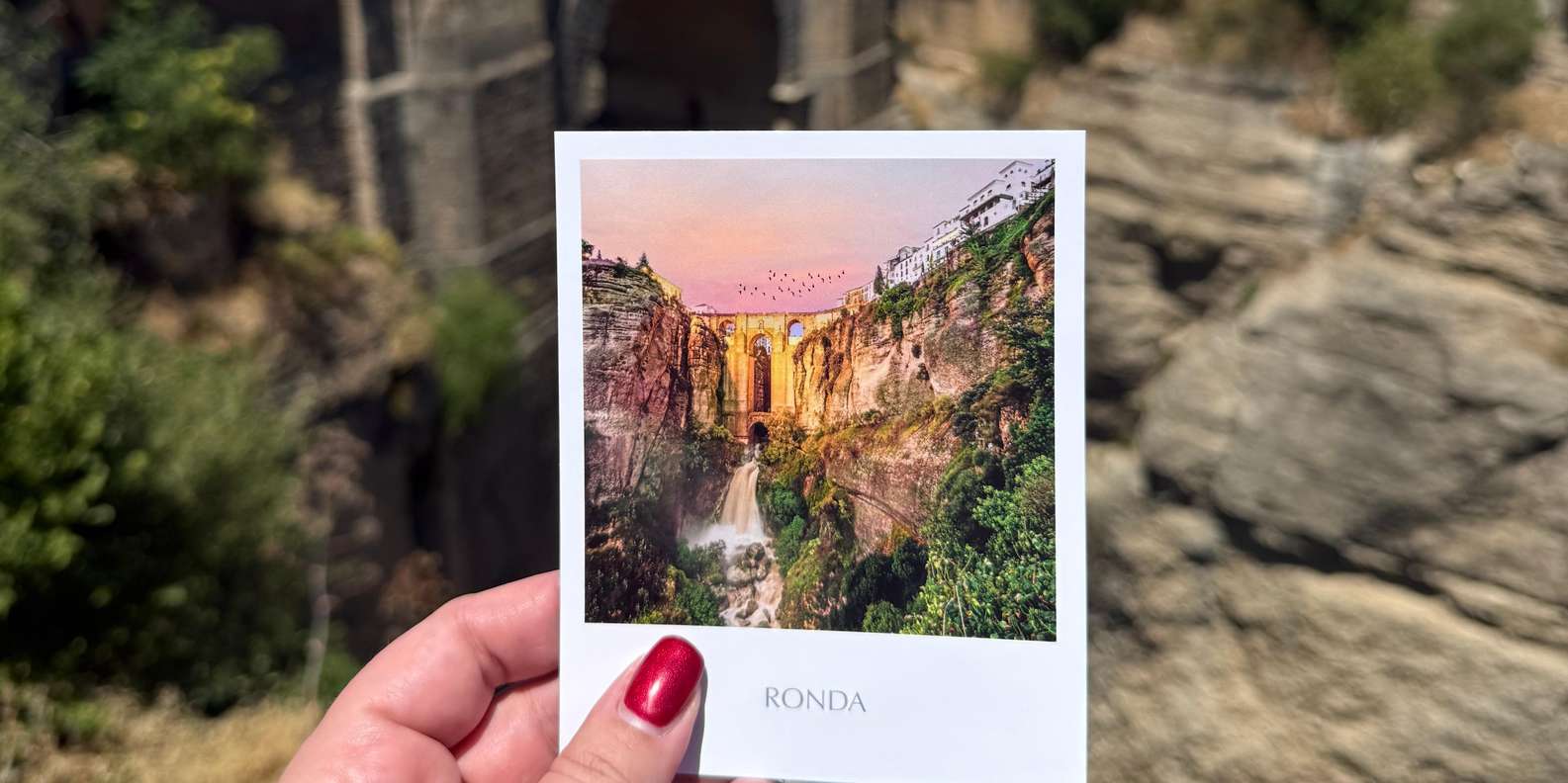 Guest photo from review