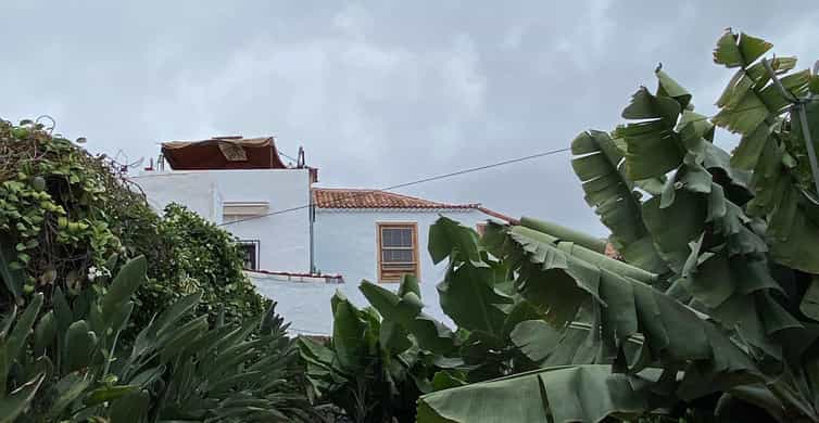 Galería de fotos para redes