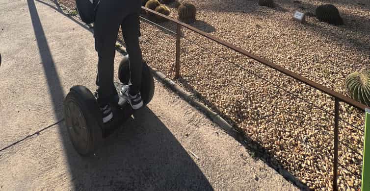 メディア コラージュ
