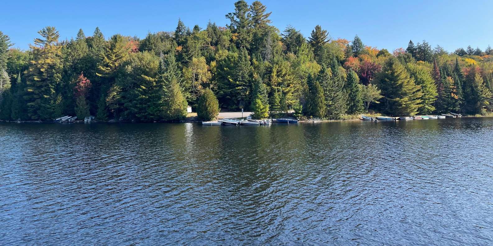 Guest photo from review