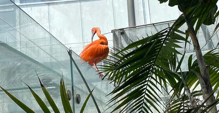 Galerie média