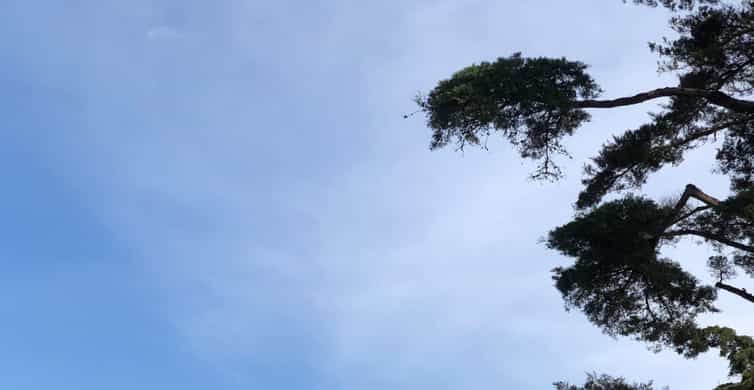 Colagem de mídia