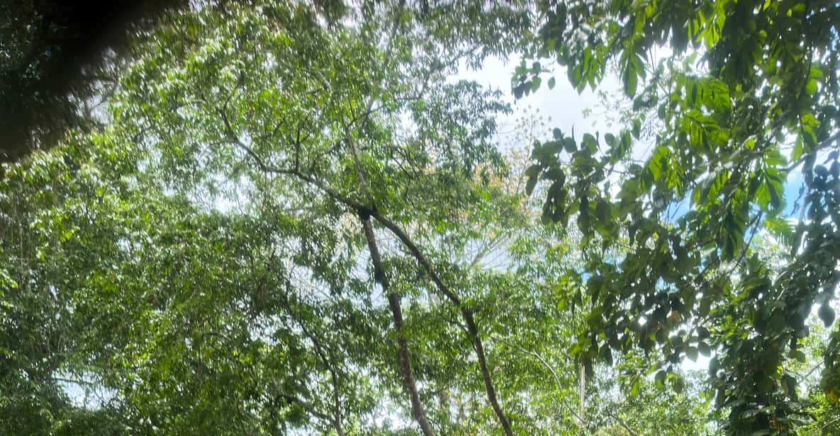 Colagem de mídia