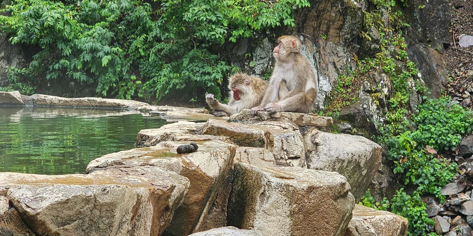 Guest photo from review