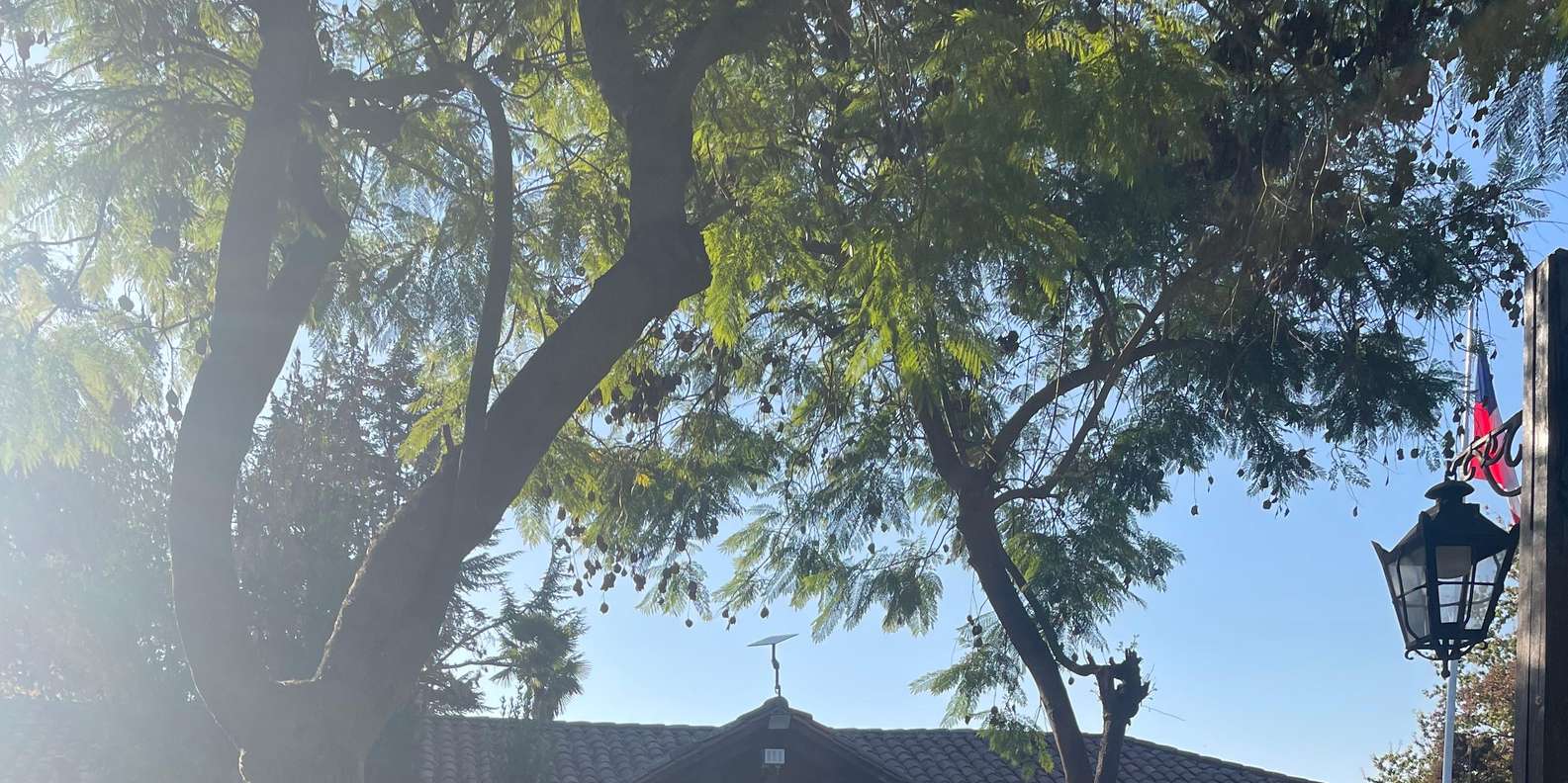 Guest photo from review