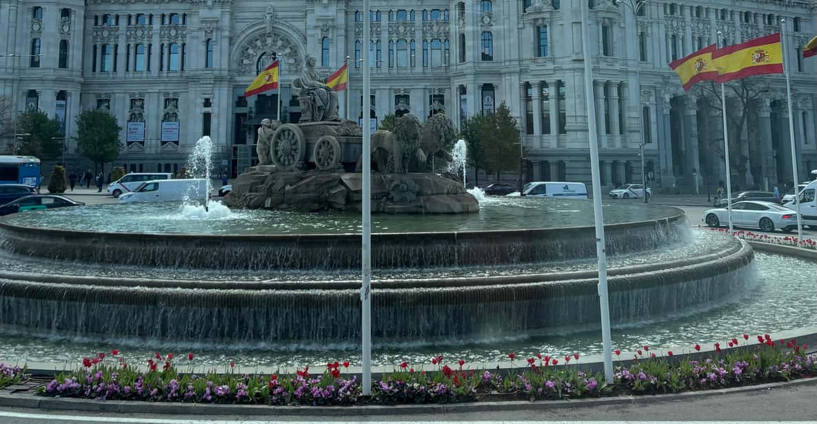 Galería de fotos para redes