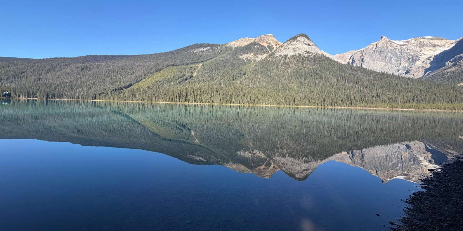 Guest photo from review
