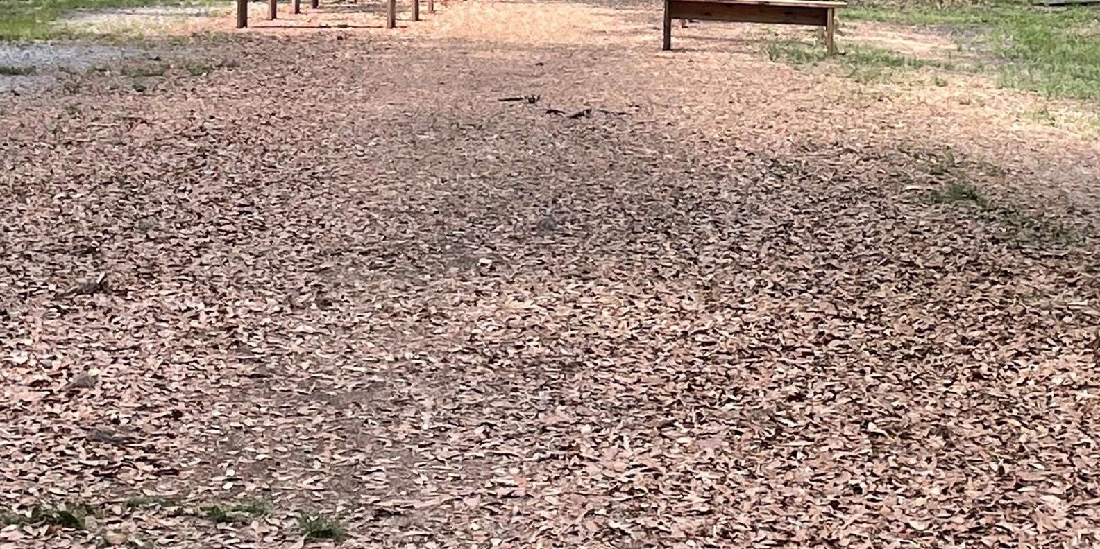 Guest photo from review