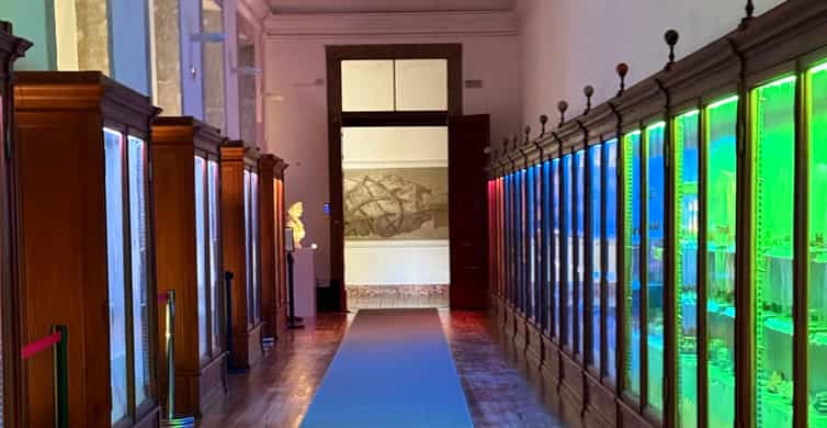 Galerie média