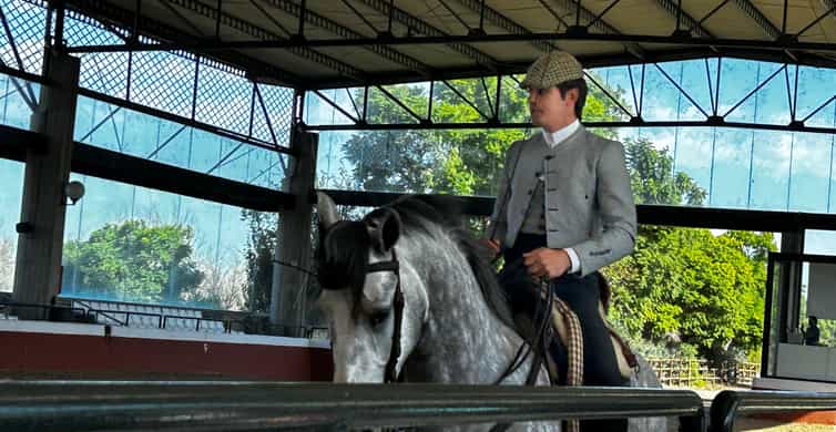 Galería de fotos para redes