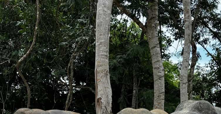 Colagem de mídia