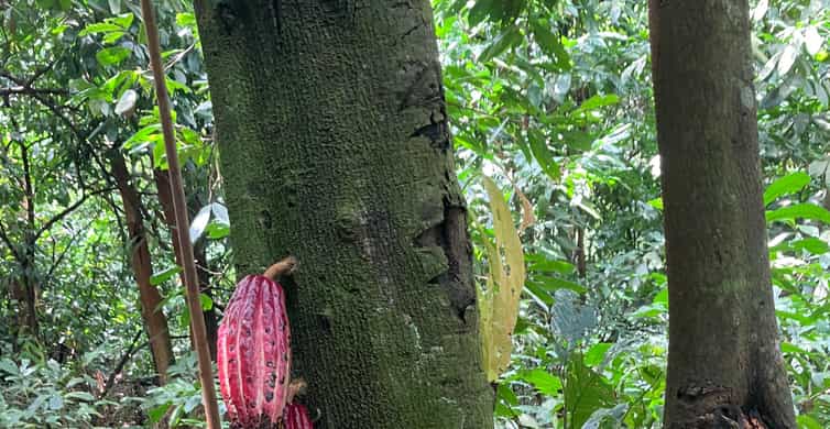 Colagem de mídia