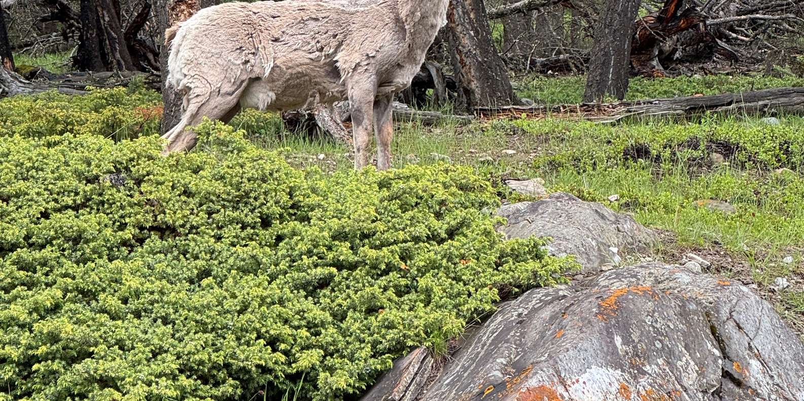 Guest photo from review