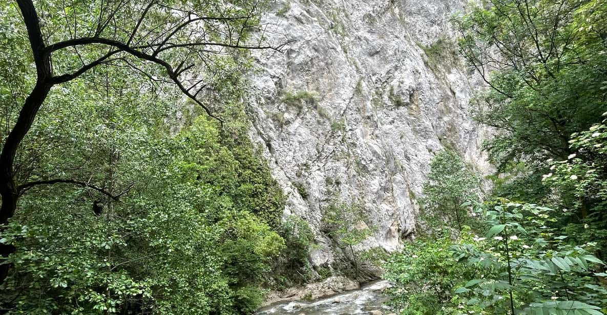 Colagem de mídia