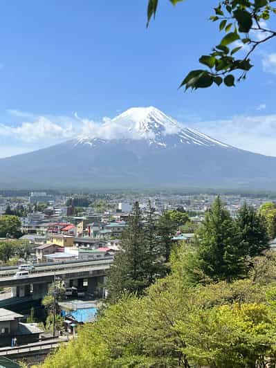Mt. Fuji 5th Station, Hot Spring, and Oshino Hakkai Day Tour