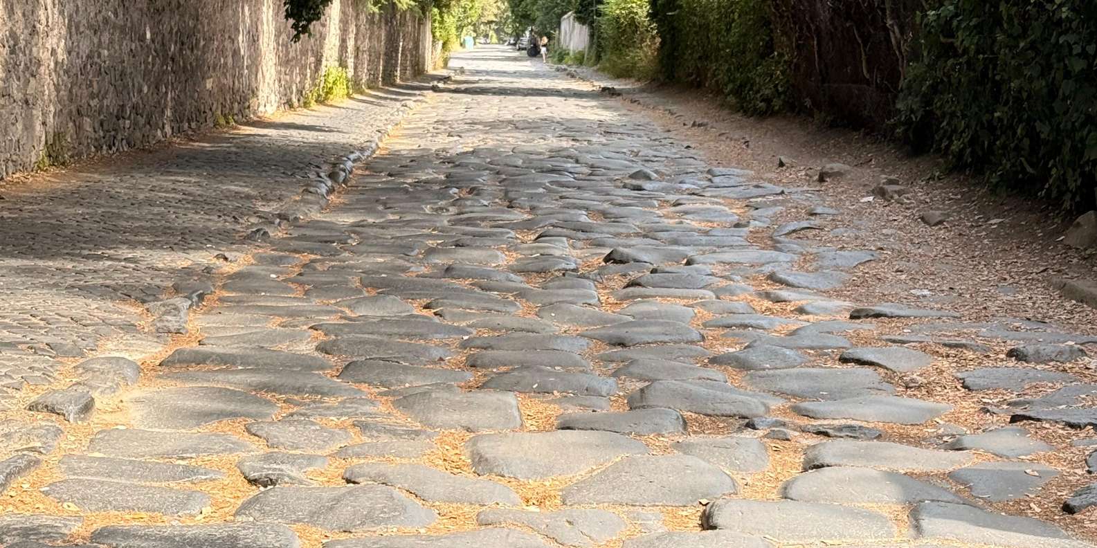 Guest photo from review