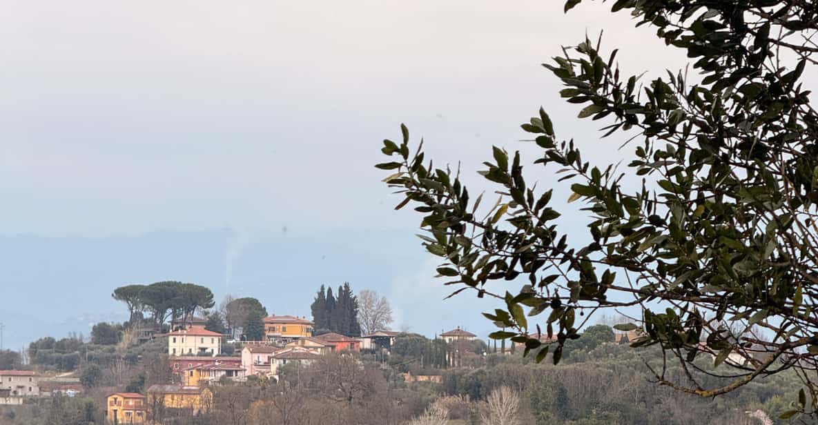 Firenze, tour della fattoria, vino e pasta nella campagna toscana - Hizvo