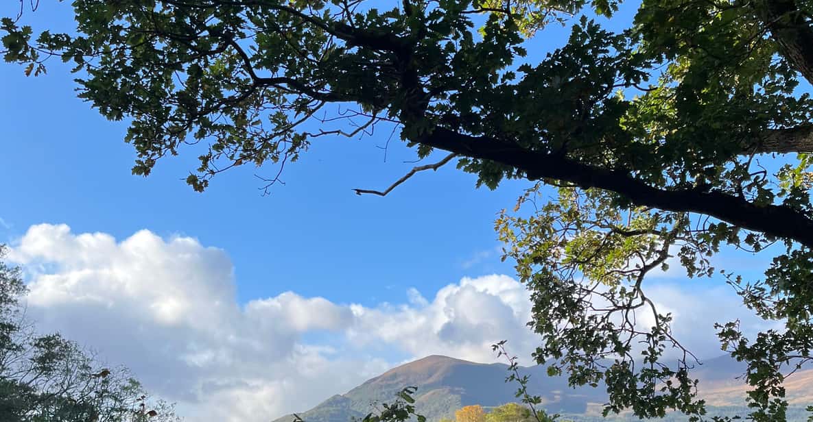 Galería de fotos para redes