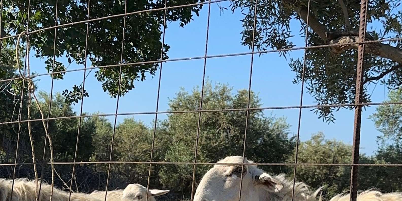 Guest photo from review