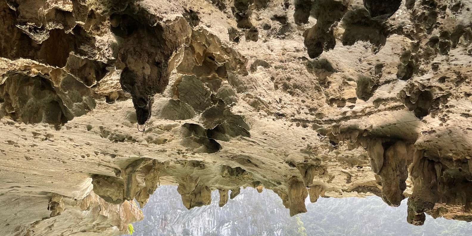 Guest photo from review