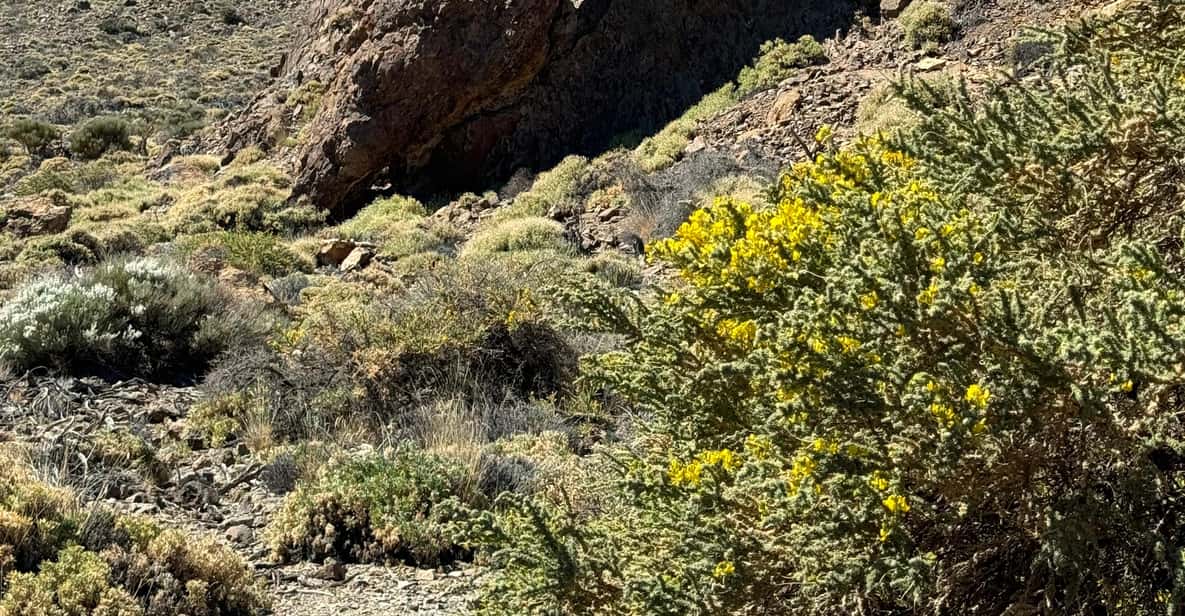 Galería de fotos para redes