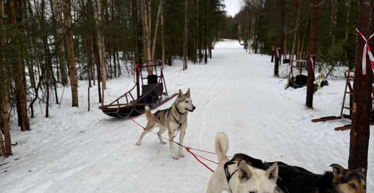 Медиаколлаж