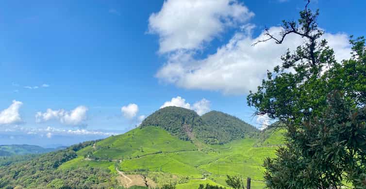 Colagem de mídia