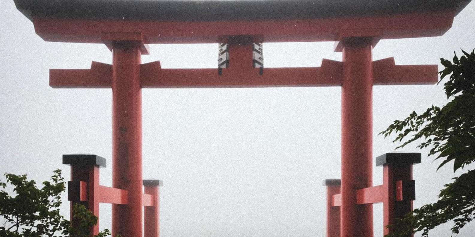 Guest photo from review