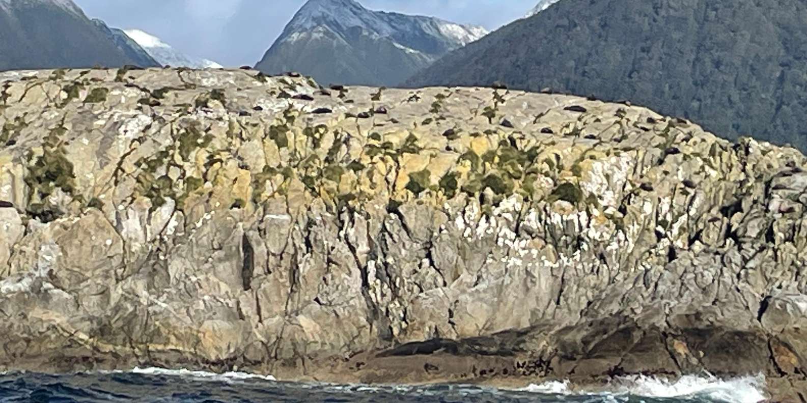 Guest photo from review