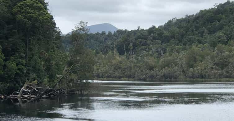 Colagem de mídia