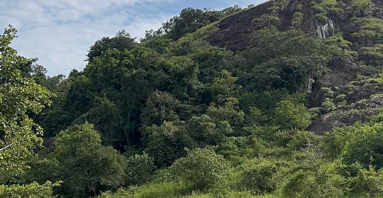 Colagem de mídia