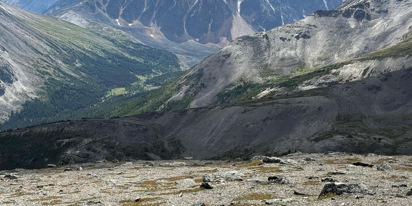 Guest photo from review