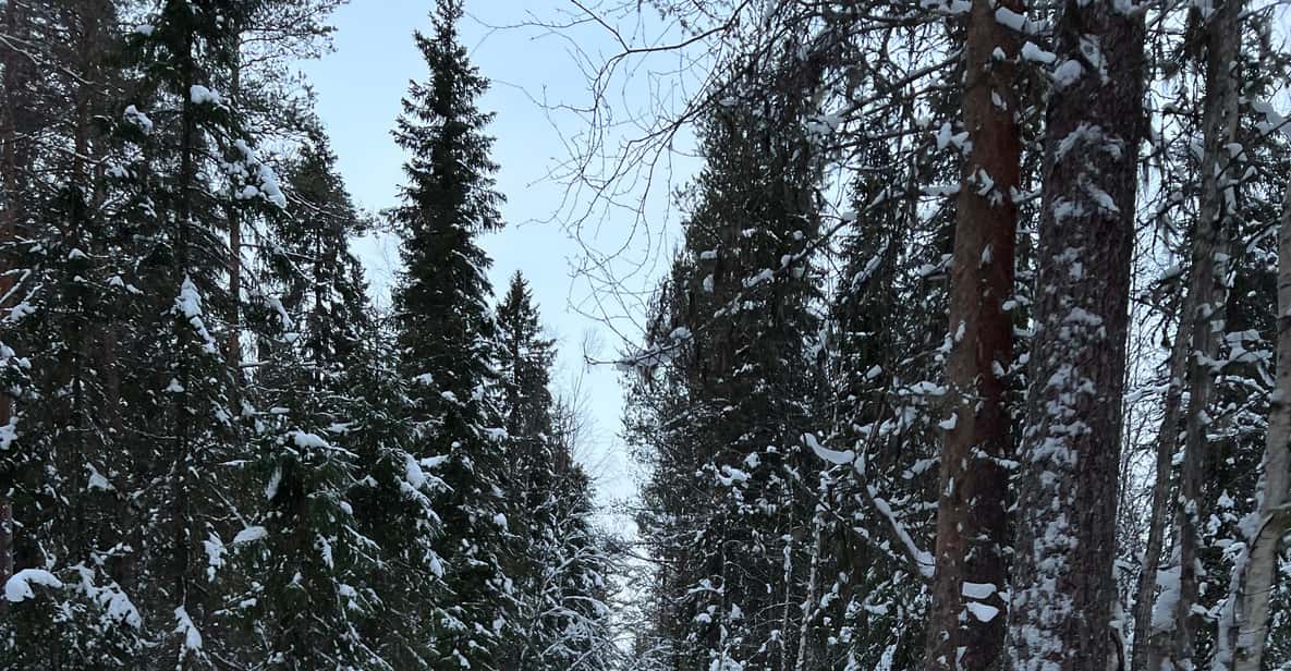 Медиаколлаж