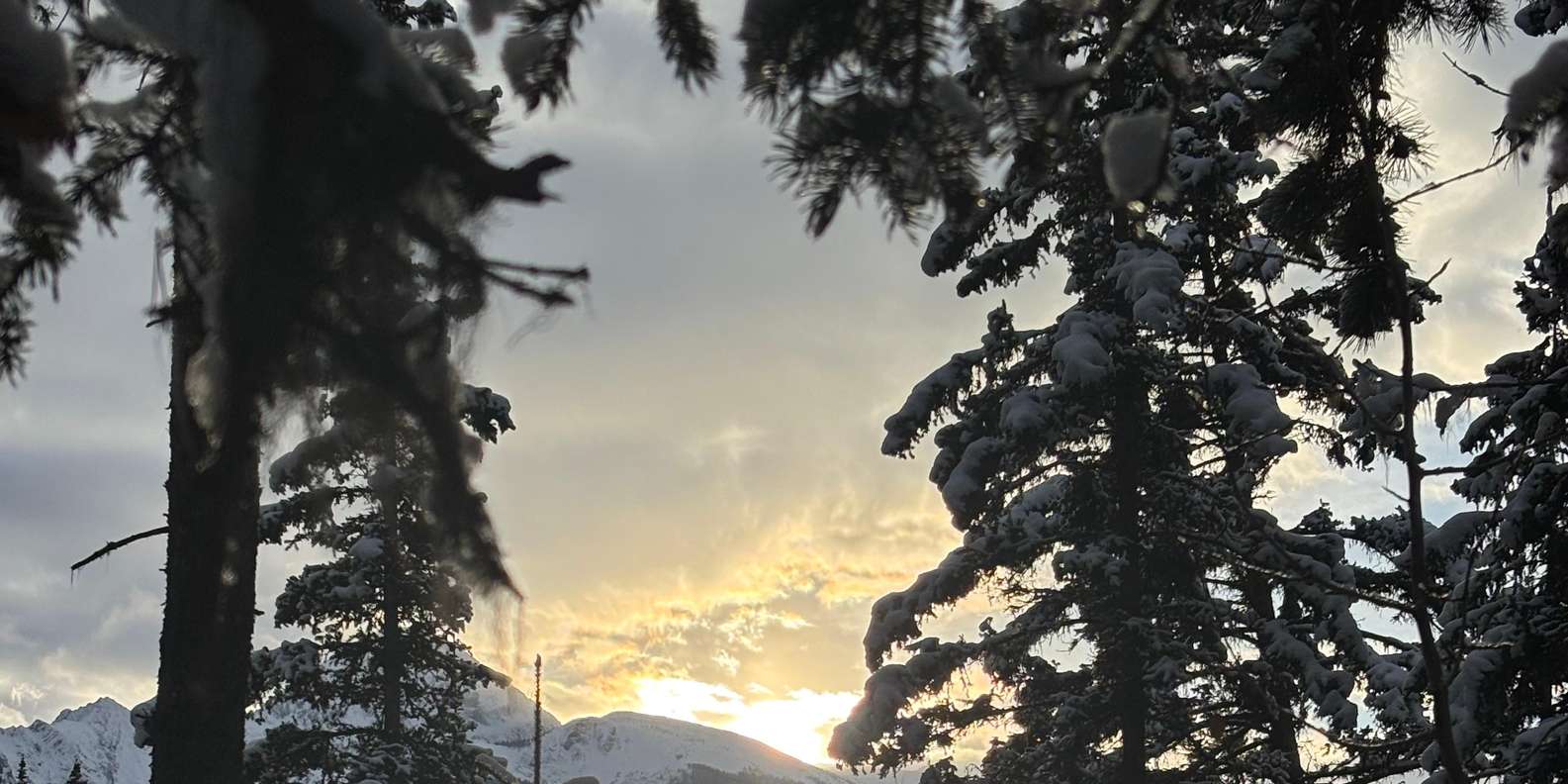 Guest photo from review