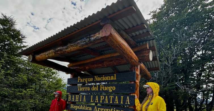 Galería de fotos para redes