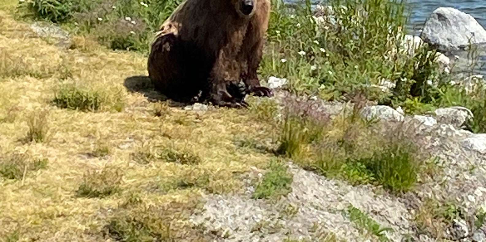 Guest photo from review